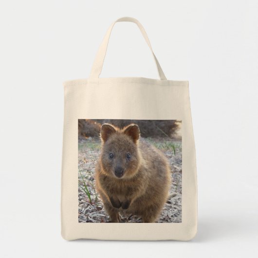 愛らしい食料雑貨のトート トートバッグ (正面)