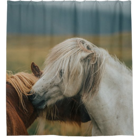 愛らしい馬のカップル シャワーカーテン (正面)