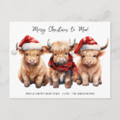 愛らしい高地の牛ふくらはぎメリークリスマスへモー シーズンポストカード (正面)