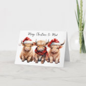 愛らしい高地の牛ふくらはぎメリークリスマスモー シーズンカード (正面)