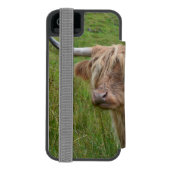 愛らしい高地牛 INCIPIO iPhoneウォレットケース (フォリオ裏面)