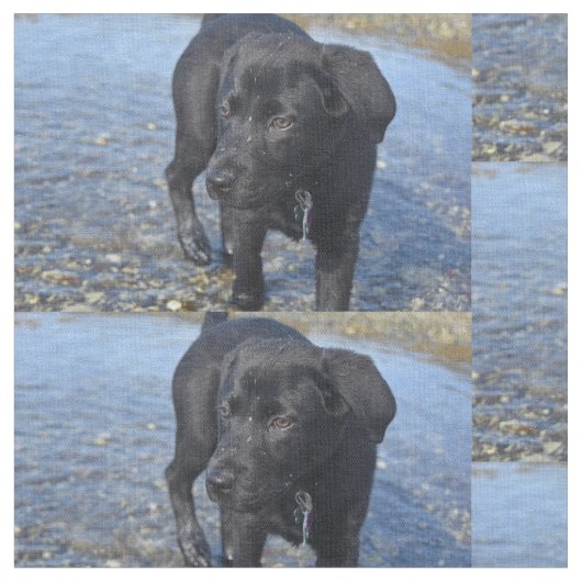 愛らしい黒い研究室の子犬 ファブリック (クローズアップ)