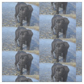 愛らしい黒い研究室の子犬 ファブリック (見本)