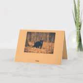 愛らしい黒熊の父の日 カード (裏面)