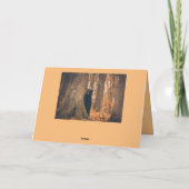 愛らしい黒熊の父の日 カード (裏面)