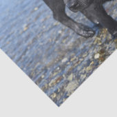 愛らしい黒犬 薄葉紙 (詳細)