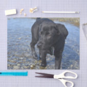 愛らしい黒犬 薄葉紙 (クラフト)