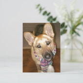 愛らしい黒褐色のドイツの羊飼い ポストカード (スタンド正面)