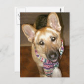 愛らしい黒褐色のドイツの羊飼い ポストカード (正面/裏面)