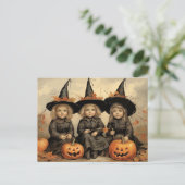 愛らしい3つのヴィンテージ魔女 ポストカード (スタンド正面)