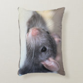 愛らしい アクセントクッション (正面(垂直))