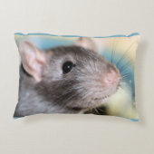 愛らしい アクセントクッション (裏面)