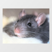 愛らしい ウィンドウサイン (シート)