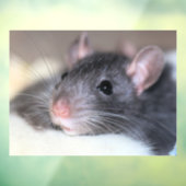 愛らしい ウィンドウサイン (シート3)