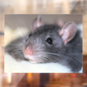 愛らしい ウィンドウサイン (シート2)