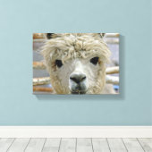 愛らしい キャンバスプリント (インサイチュ (ウッドフロア))