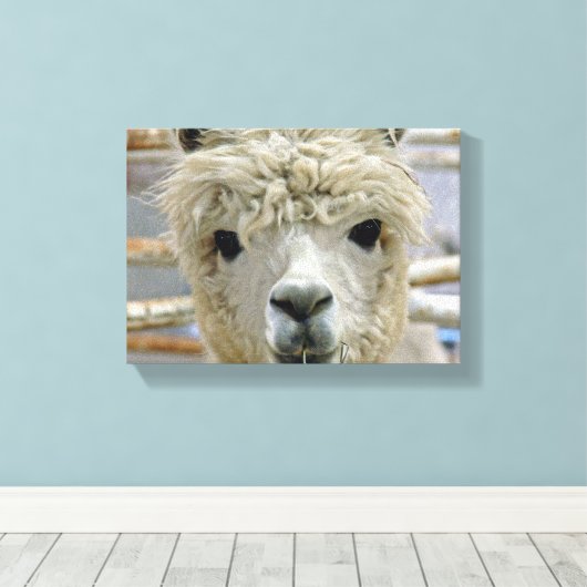 愛らしい キャンバスプリント (インサイチュ (ウッドフロア))