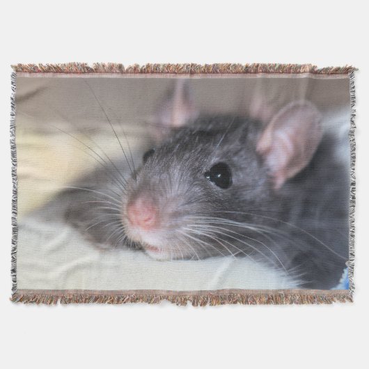 愛らしい スローブランケット (正面)