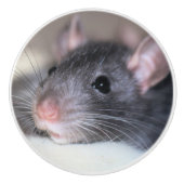 愛らしい セラミックノブ (正面)