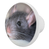 愛らしい セラミックノブ (右)