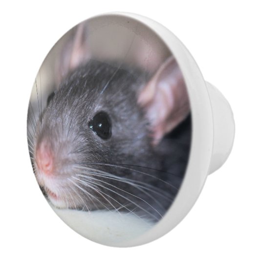 愛らしい セラミックノブ (右)