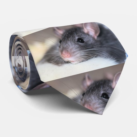 愛らしい ネクタイ (ロール)