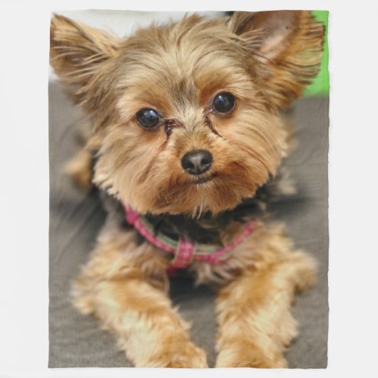 愛らしい フリースブランケット (正面)