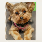 愛らしい プランナー手帳 (正面)