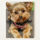 愛らしい プランナー手帳 (裏面)