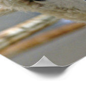 愛らしい ポスター (角)