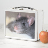 愛らしい メタルランチボックス (インサイチュ)