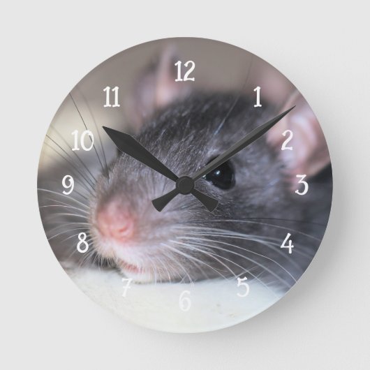 愛らしい ラウンド壁時計 (正面)