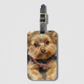 愛らしい ラゲッジタグ (正面縦)