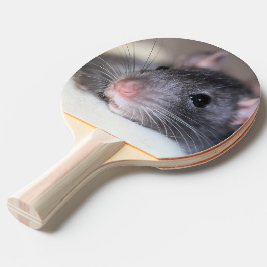 愛らしい 卓球ラケット (正面アングル)