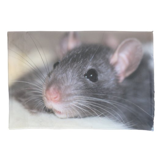 愛らしい 枕カバー (正面)