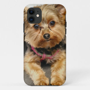 愛らしい iPhone 11 ケース