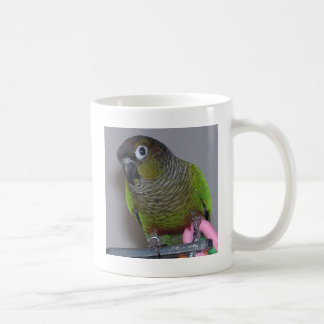 愛らしいGreencheek Conure コーヒーマグカップ