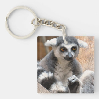 愛らしいLemur キーホルダー