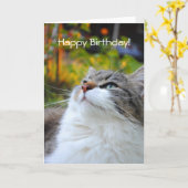 愛らしいRagdoll猫のハッピーバースデーカード カード (黄色い花)