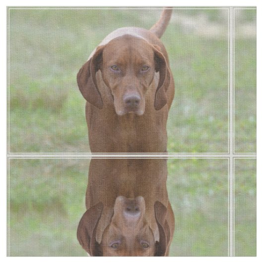 愛らしいVizsla ファブリック (クローズアップ)