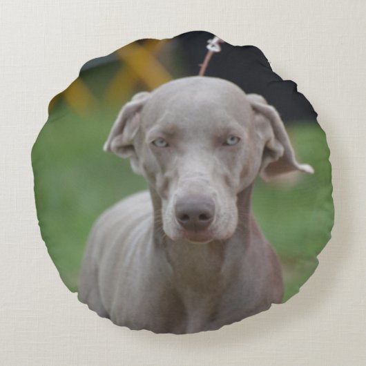 愛らしいWeimaraner ラウンドクッション (裏面)