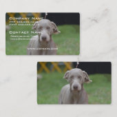 愛らしいWeimaraner 名刺 (正面/裏面)