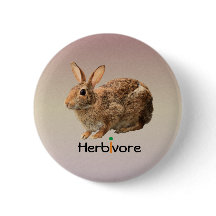 愛らしくかわいいビーガンの野生のバニーウサギの紫色