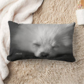 愛らしくかわいい居眠りのポメラニア犬のモノグラム ランバークッション (ブランケット)