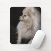 愛らしくかわいい提起のポメラニア犬の子犬 マウスパッド (マウス)