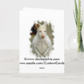 愛らしくかわいく白い白子のカンガルー シーズンカード (裏面)