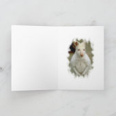 愛らしくかわいく白い白子のカンガルー シーズンカード (内部)