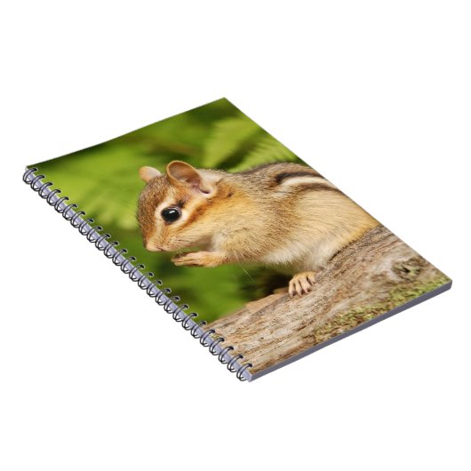 愛らしく柔らかいベビーのシマリス ノートブック (右側)