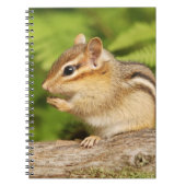 愛らしく柔らかいベビーのシマリス ノートブック (正面)