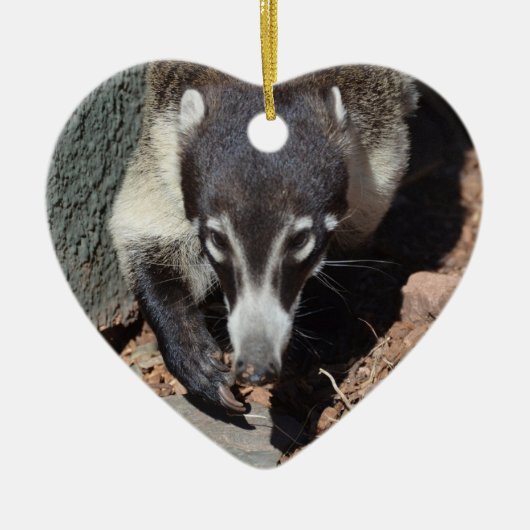愛らしく白いゆっくり進られたCoati セラミックオーナメント (正面)